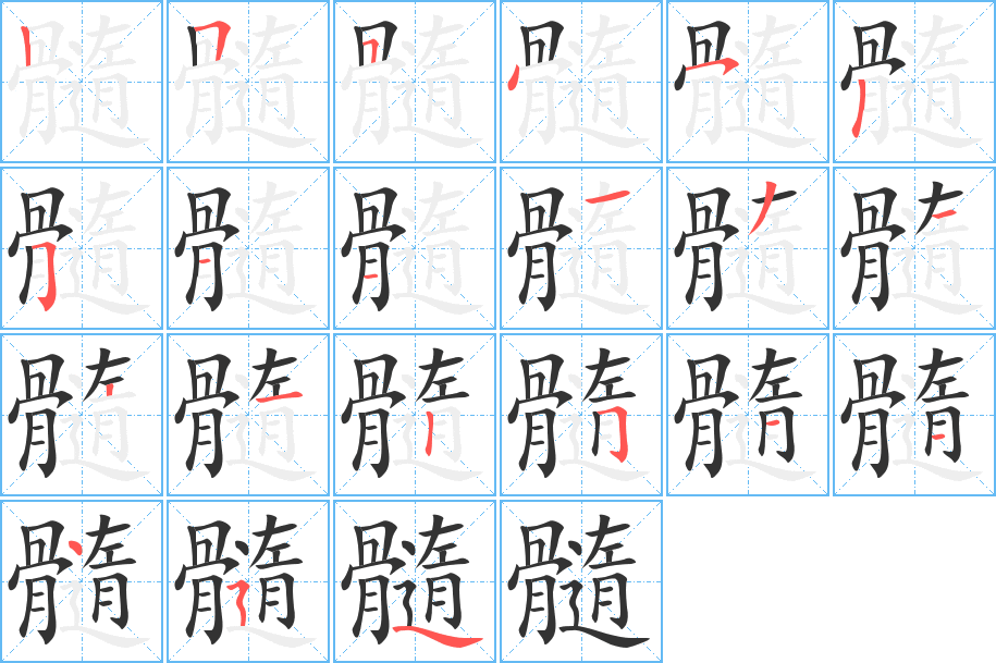 髓的笔顺分步演示