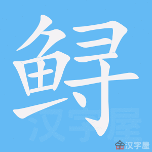 鲟笔顺动画演示