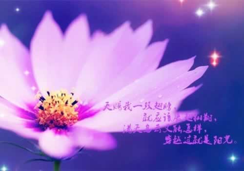 客服说取款通道维护不能提现出款教你避免(图)