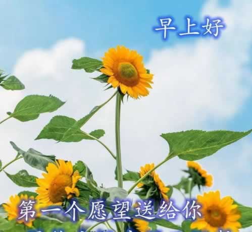 平台取款通道维护审核不给提现怎么办怎么情况（图）