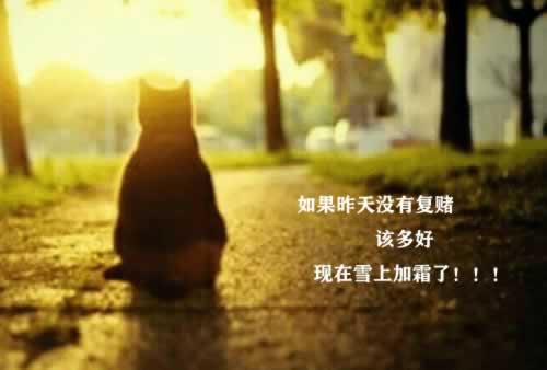 网站受国际线路波动被黑不能出款系统审核拒绝出款要如何避免(图)
